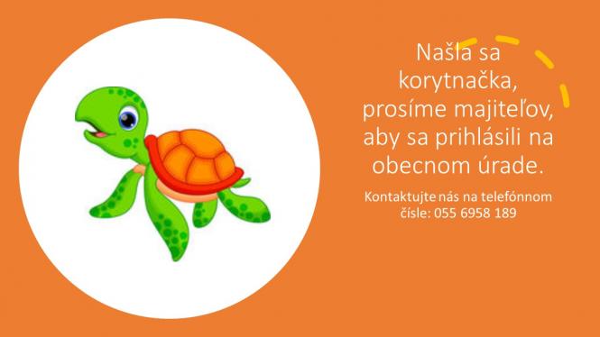 Našla sa korytnačka!